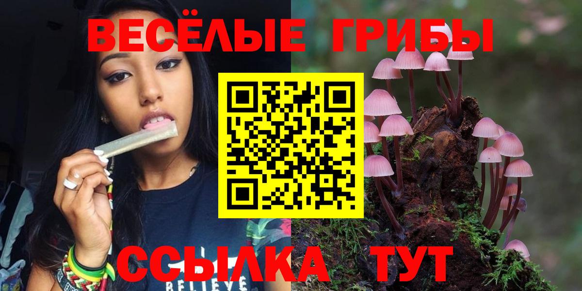 дарнет шоп  Галлюциногенные грибы Magic Shrooms  Вход с VPN  Псилоцибиновые грибы MAGIC MUSHROOMS  Новороссийск 