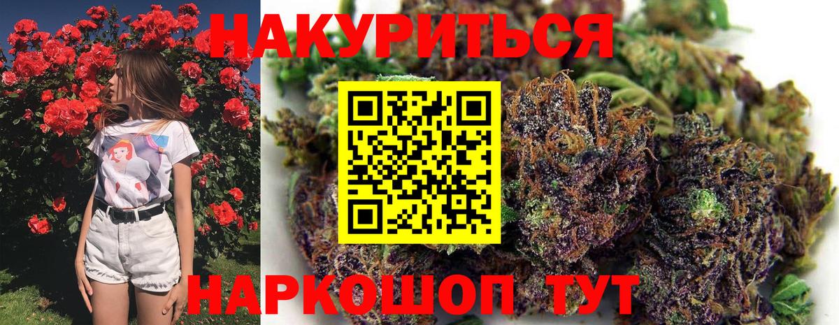 Шишки марихуана Amnesia Новороссийск
